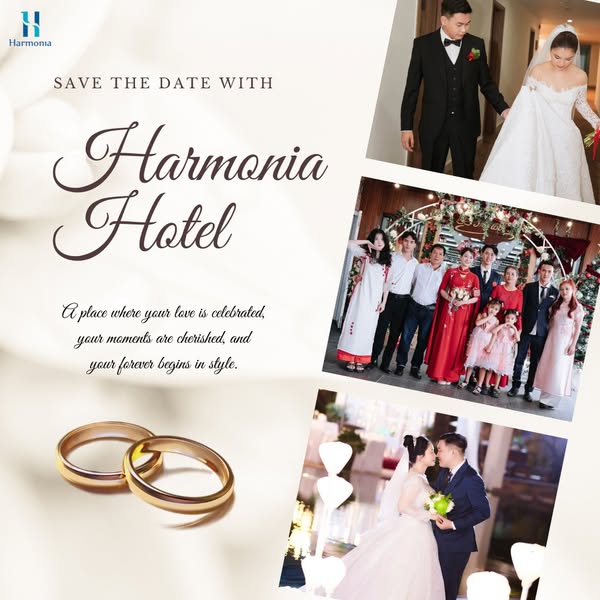 the harmonia hotel